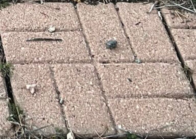 WhatsApp Image 2025-10-23 at 20.05.57_6eb75b88