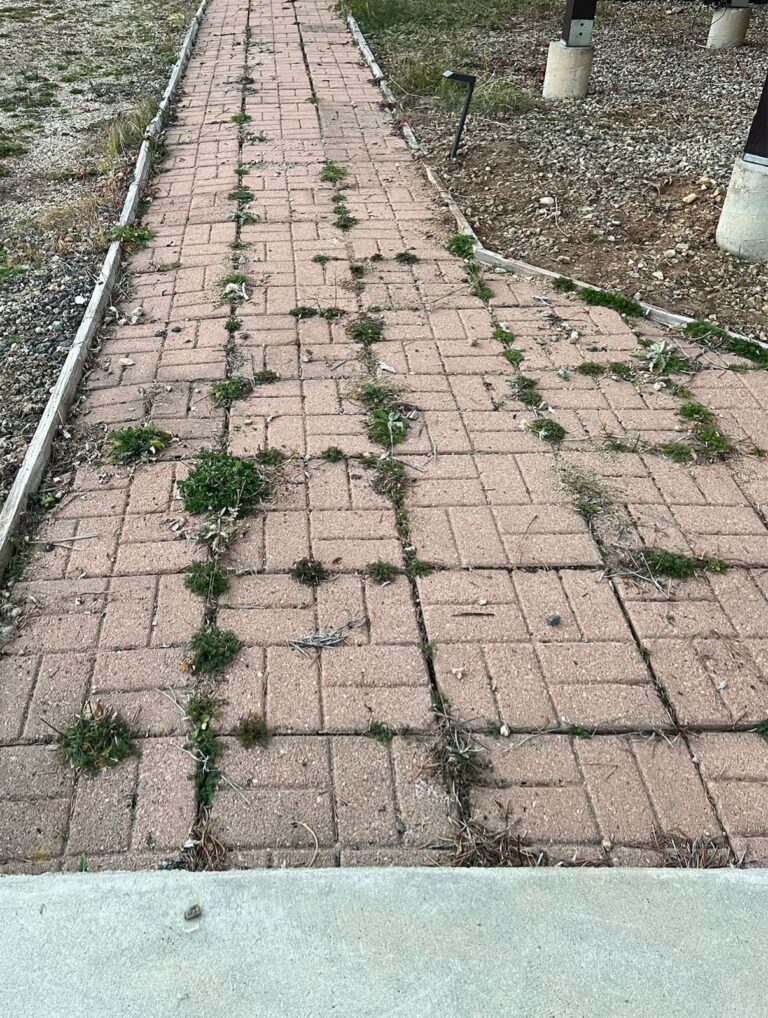 WhatsApp Image 2025-10-23 at 20.19.53_36de7184