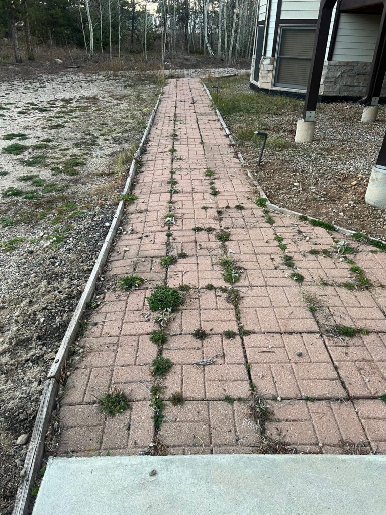 WhatsApp Image 2025-11-05 at 20.46.37_cbe8e150