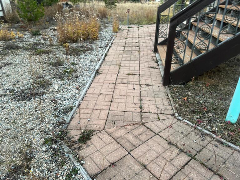 WhatsApp Image 2025-11-05 at 20.46.38_225181ff