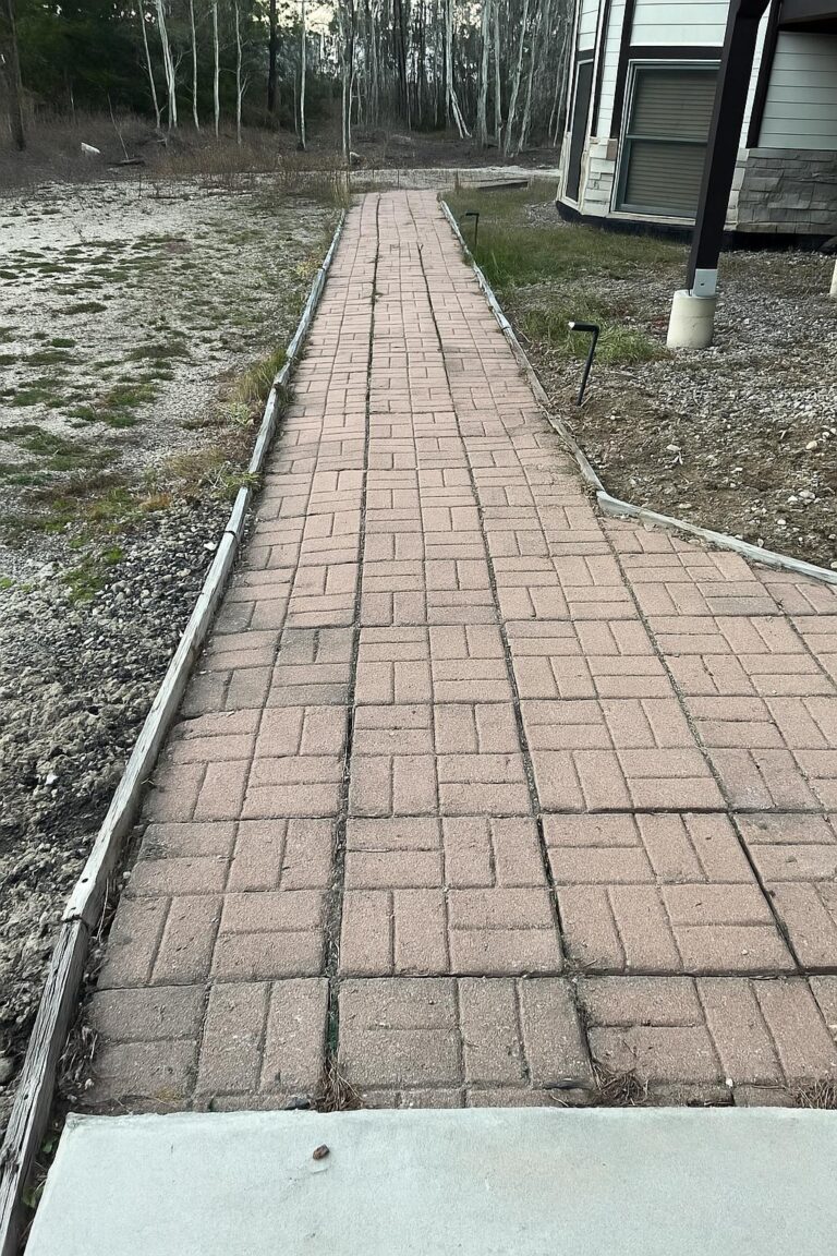 WhatsApp Image 2025-11-05 at 20.46.38_993d443c