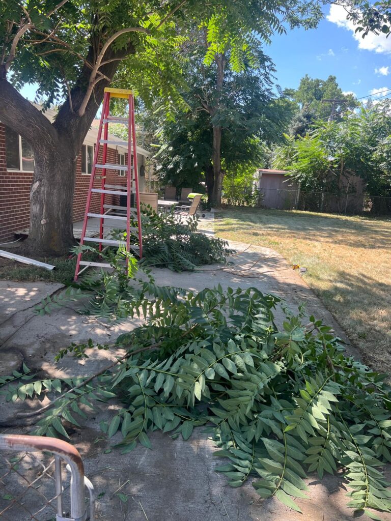 WhatsApp Image 2025-08-18 at 07.39.28_dabeb2cf