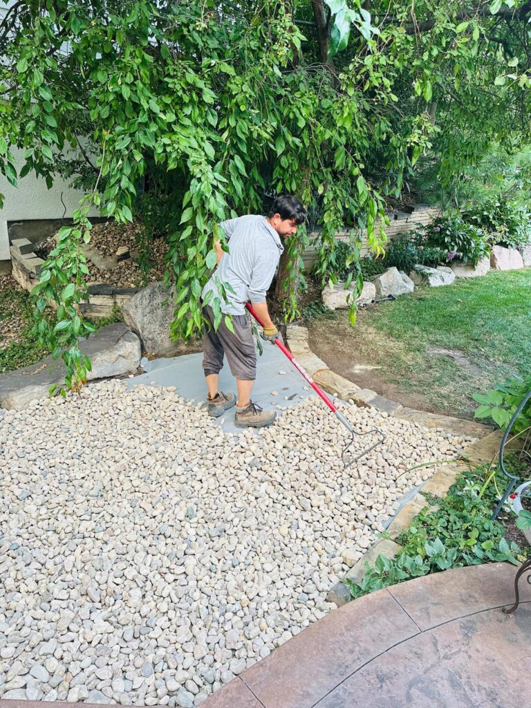 WhatsApp Image 2025-08-18 at 07.41.05_9df35b0a