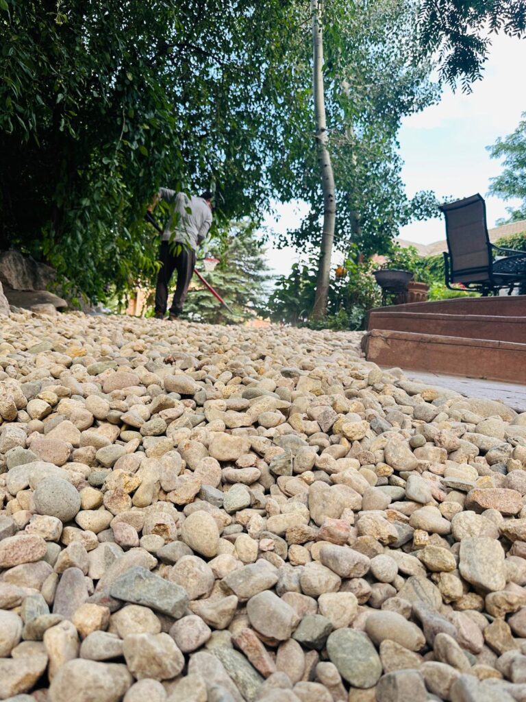 WhatsApp Image 2025-08-18 at 07.41.05_aa12a91c