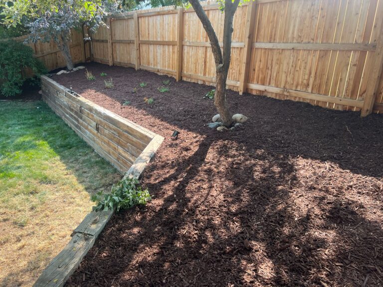 WhatsApp Image 2025-09-14 at 06.02.15_b0bdd8bb