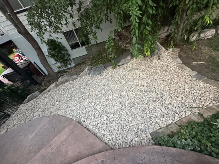 WhatsApp Image 2025-09-14 at 06.06.18_e02eb747