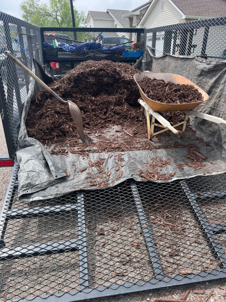 WhatsApp Image 2025-09-14 at 06.06.24_2ddafae4