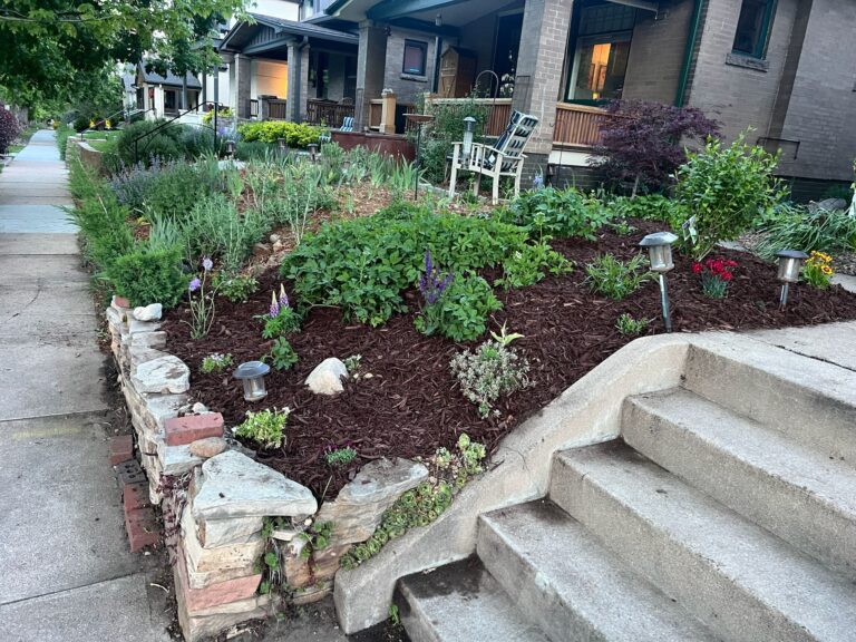 WhatsApp Image 2025-09-14 at 06.06.24_80e95ea8