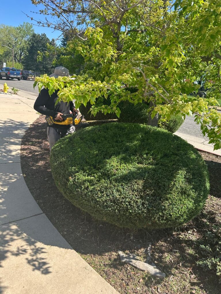 WhatsApp Image 2025-09-14 at 06.06.24_eb7ec7e2